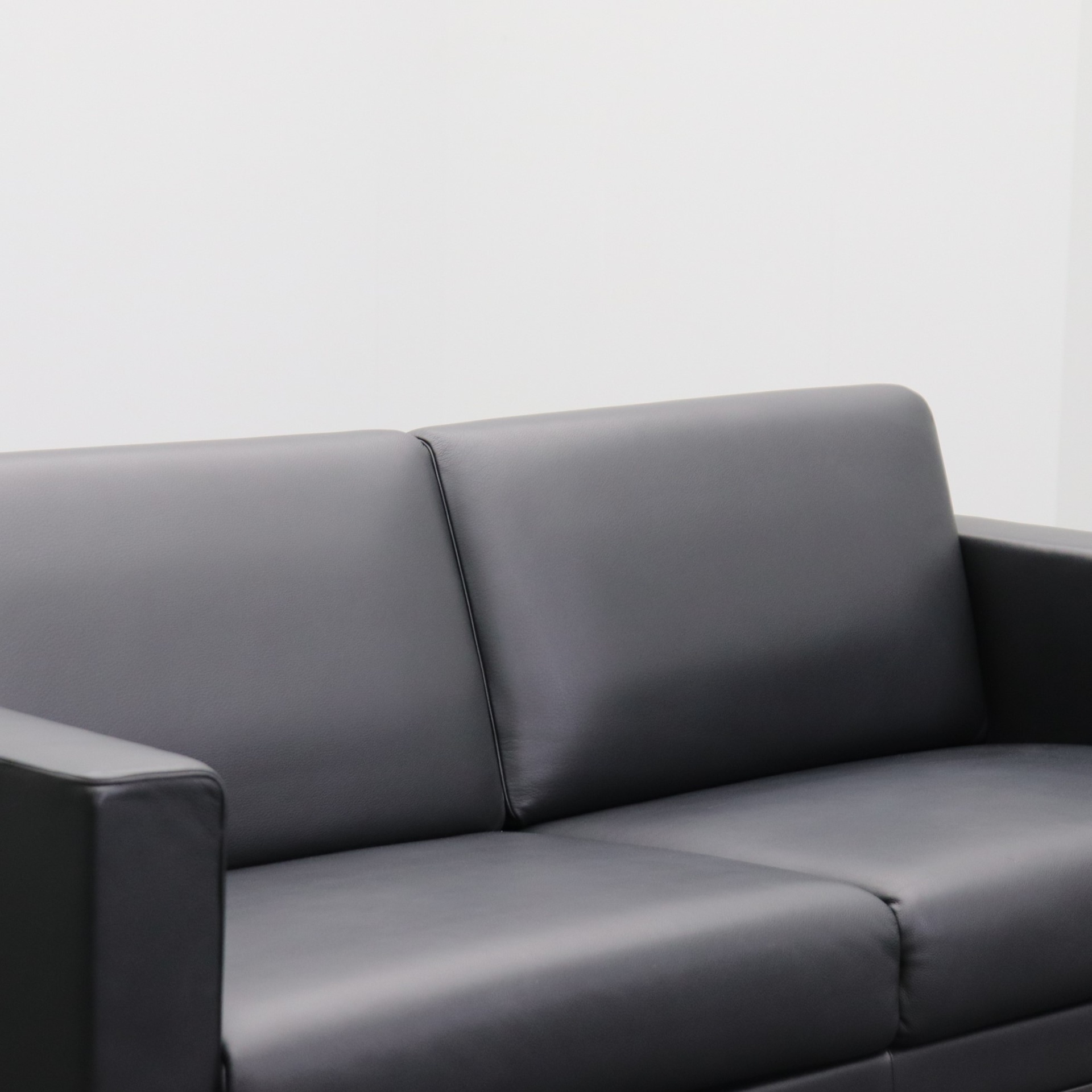 Lounge Sofas De Sede