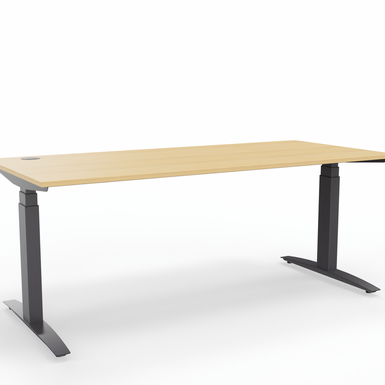 Height-adjustable worktable Sitag SitagActive (Oak, New, 180x80, Anthracite, Anthracite)